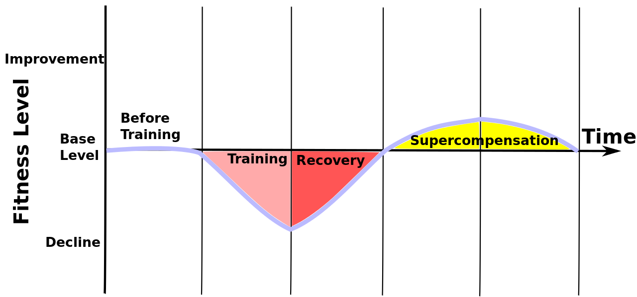 Supercompensatie 